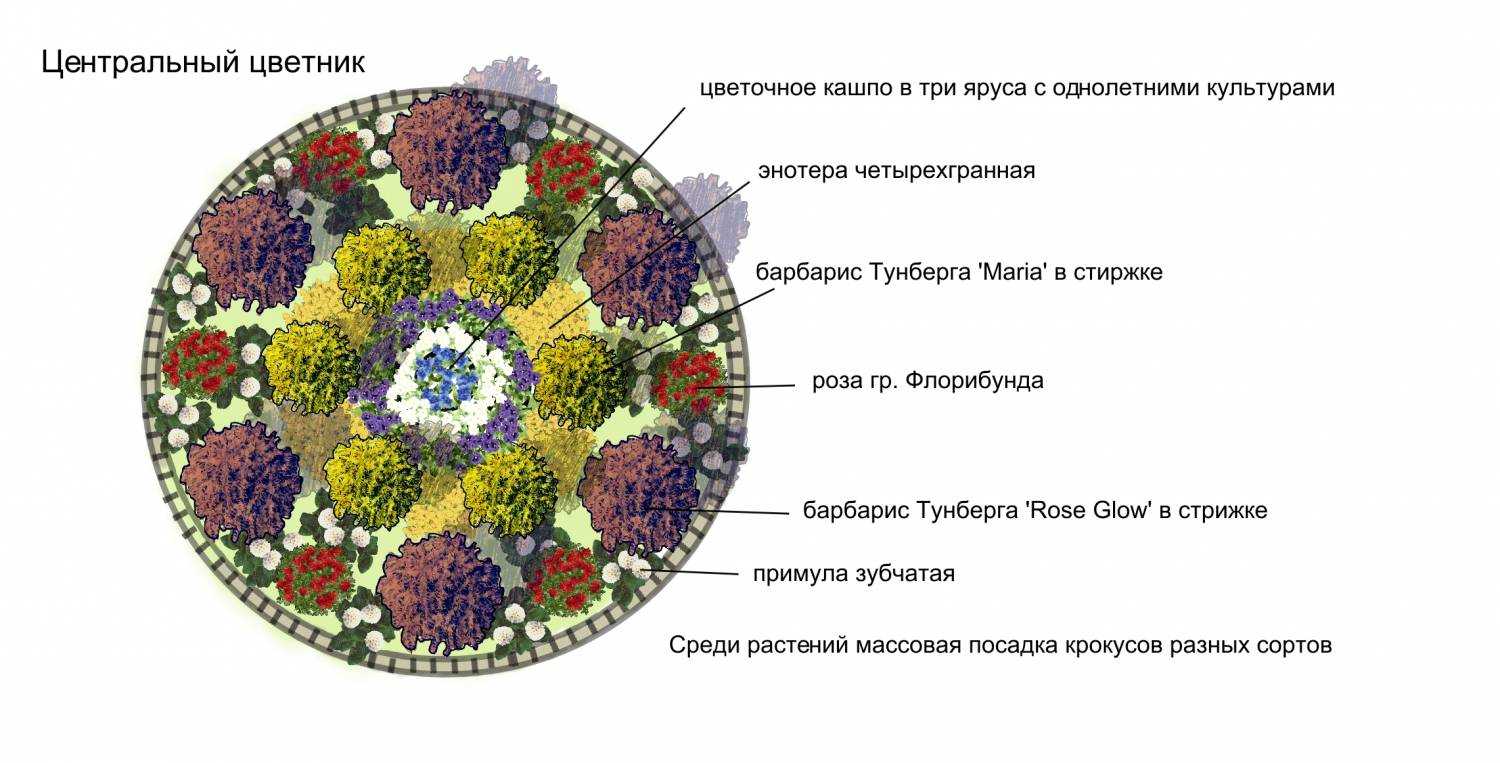 Цветник из однолетников схема